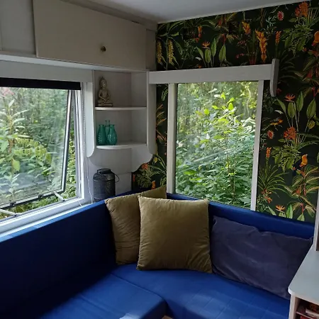 Campingplatz Camping Bakkum Met Elektra *
