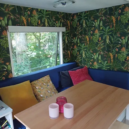 Camping Bakkum Met Elektra